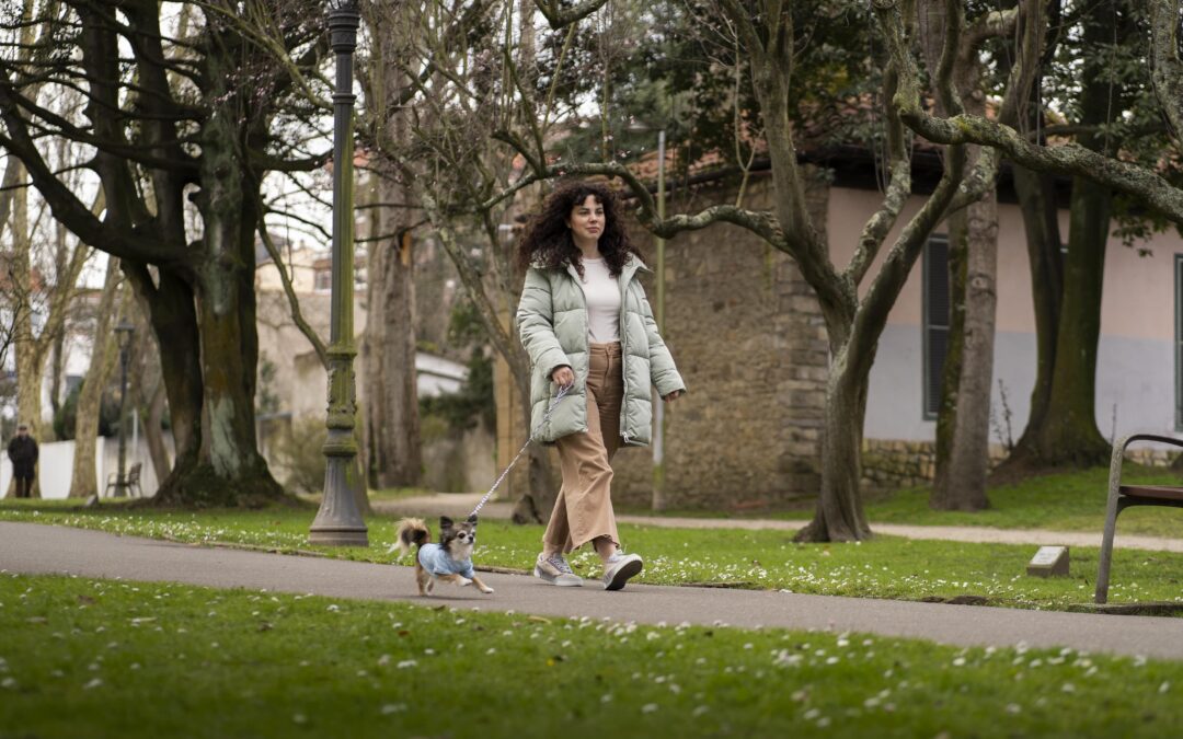 How to Make Your Walk More Enjoyable