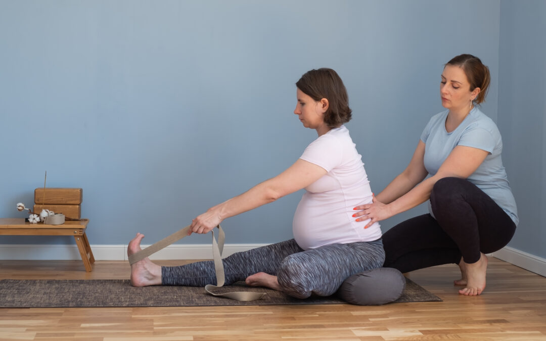Physiotherapy for Women’s Health: Prenatal and Postpartum Care